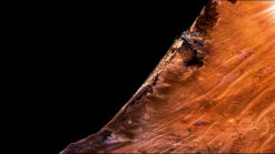 Satellite Timelapse footage of Dubai developing